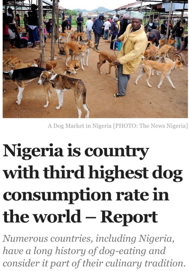 Nsizwa Thwala tweet media