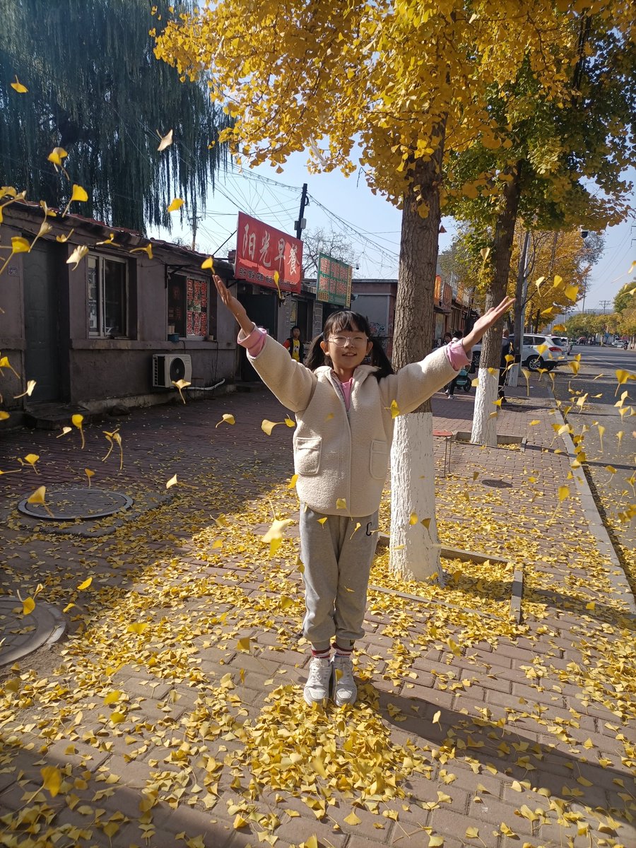 bestmindreader's tweet photo. Autumn breeze + golden leaves = perfect afternoon walks https://t.co/tZn9tkBB1e