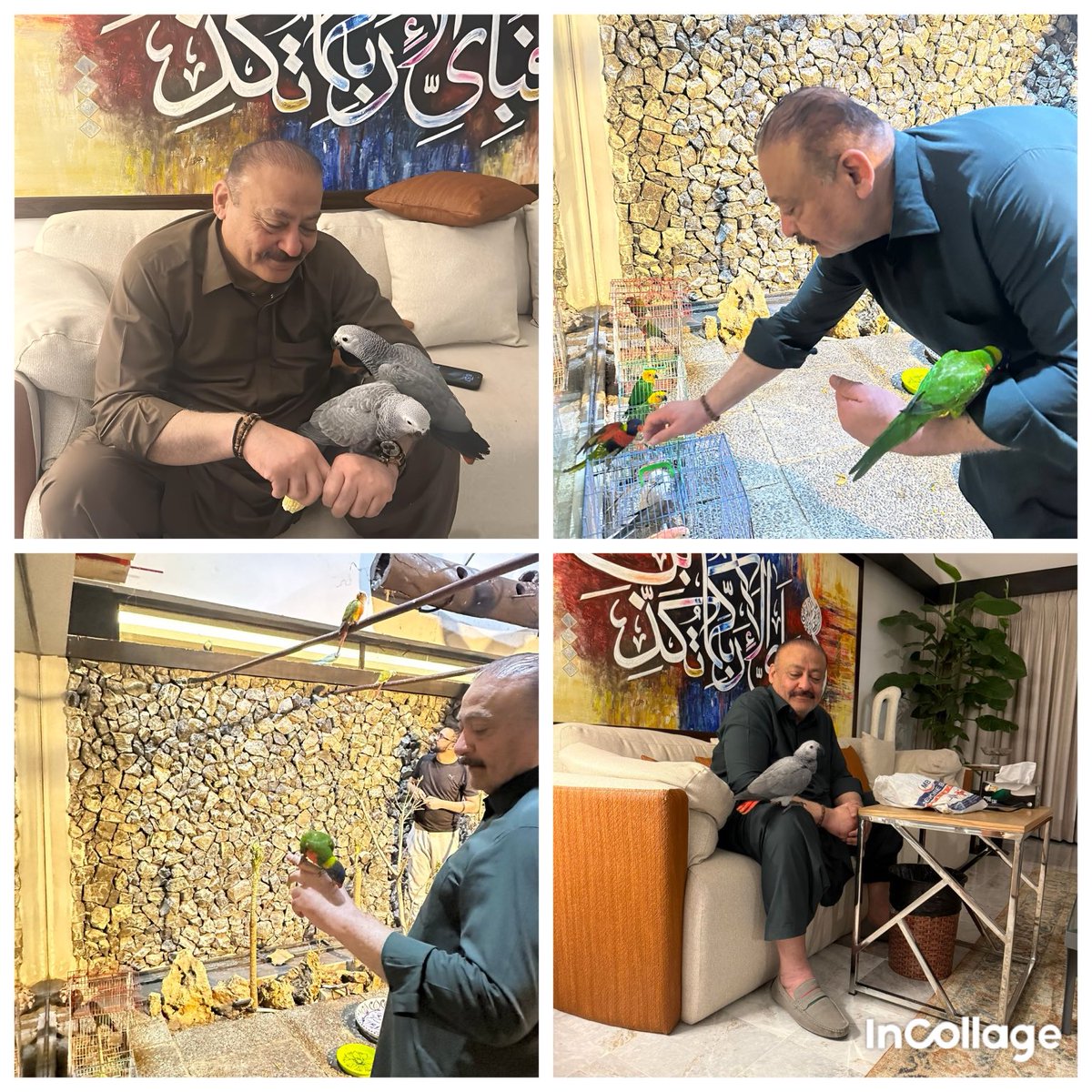 A_Qadir_Patel's tweet image. #Hobby #Birds #Nature #AtHome