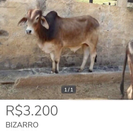 Han Valen 🇳🇱🏳️‍⚧️ tweet media