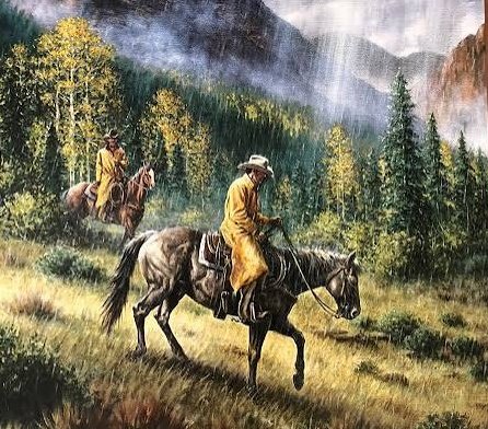 American Steppe 🦬🇺🇸 tweet media