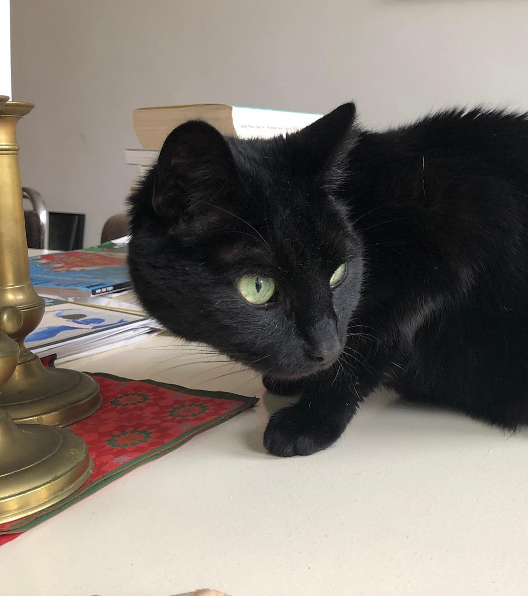 Henk Stroomenbergh tweet media