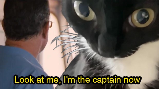 BRUCE(ETH//SOL) tweet media