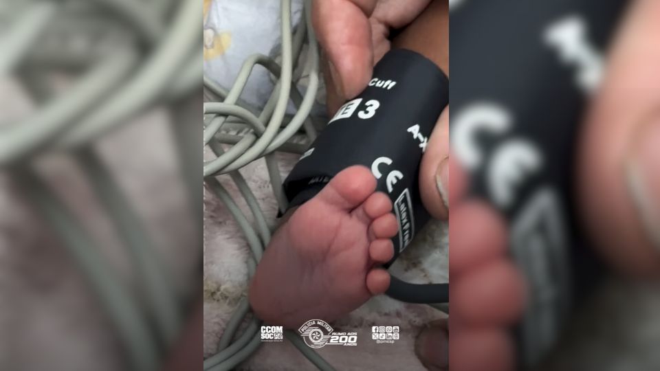 Polícia Militar do Estado de São Paulo tweet media