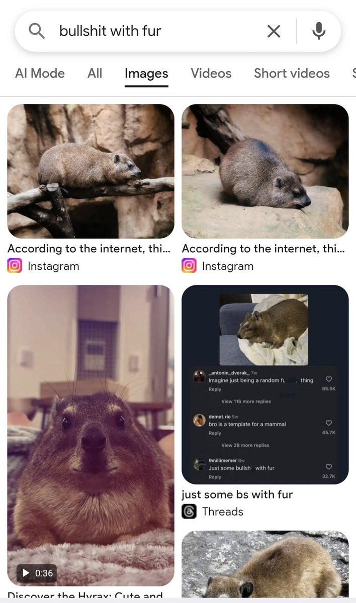 Divine General Mahoraga tweet media