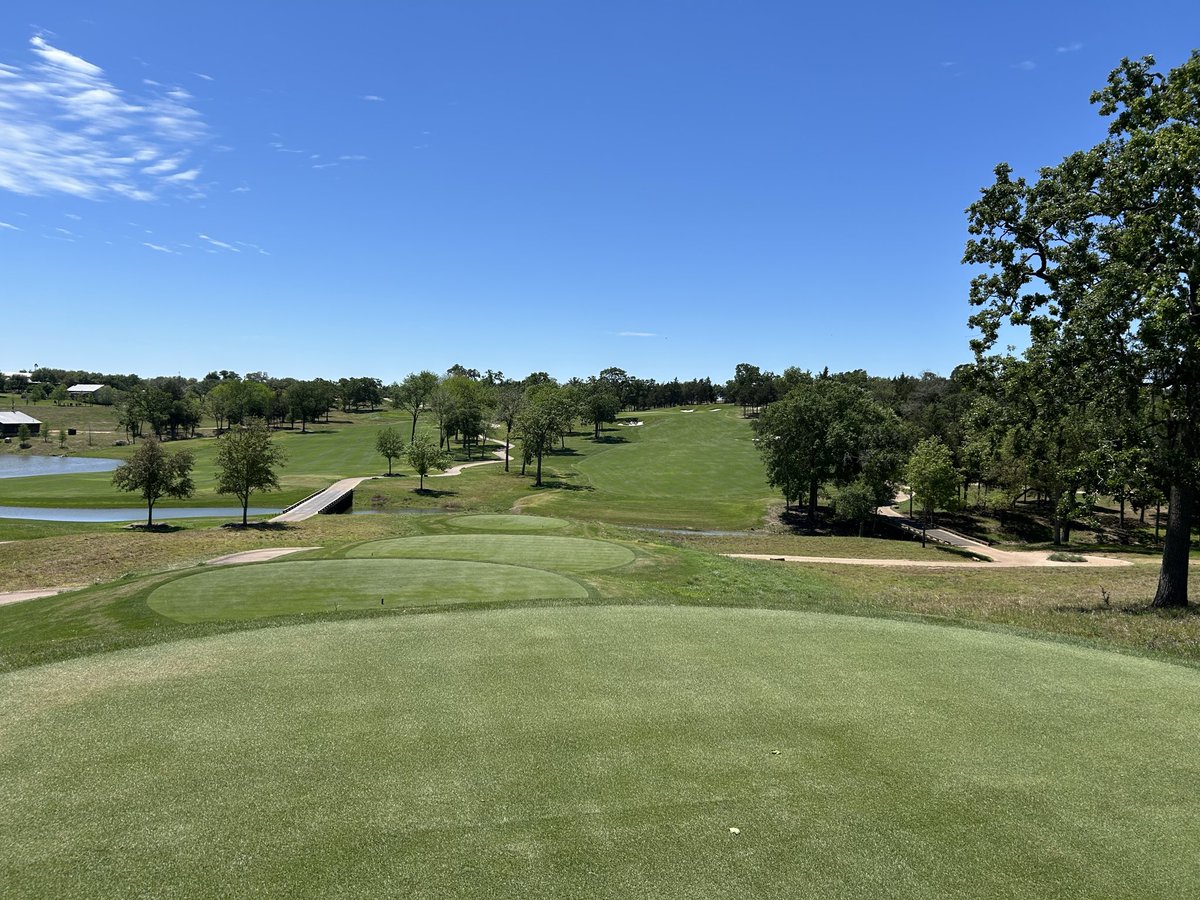 No Divots tweet media