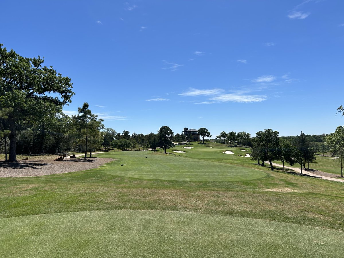 No Divots tweet media