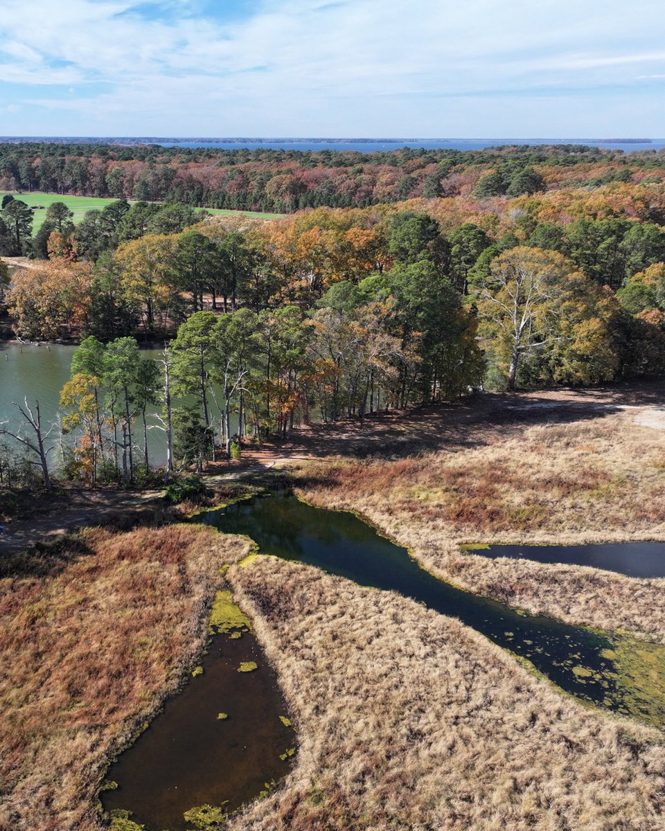 Eastern Shore Land Conservancy tweet media