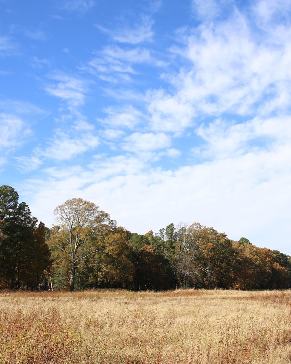 Eastern Shore Land Conservancy tweet media
