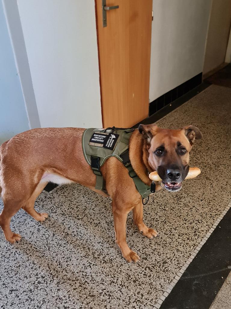 Na vychazku svacinu sebou ;)

#emil_sinclair