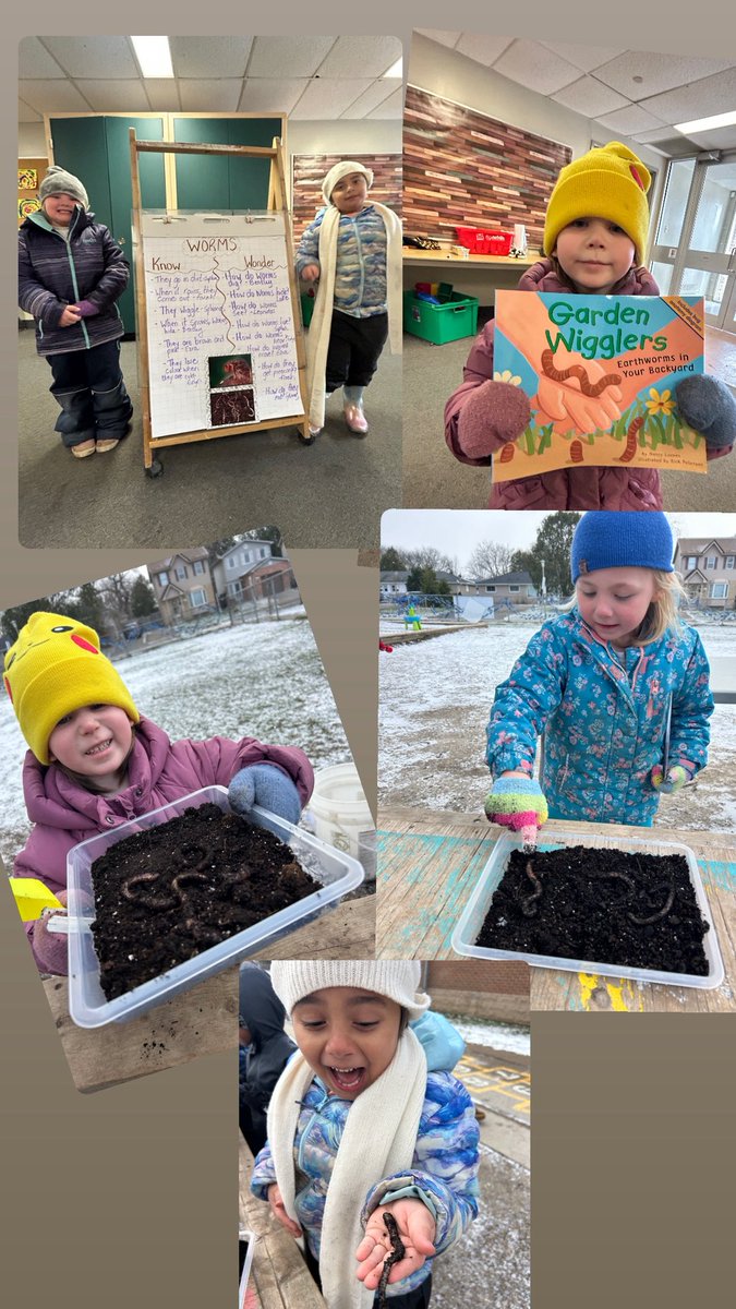 torfeatherston's tweet photo. This week we are learning all about worms! @GlenCairnTVDSB https://t.co/aqipivCFgx
