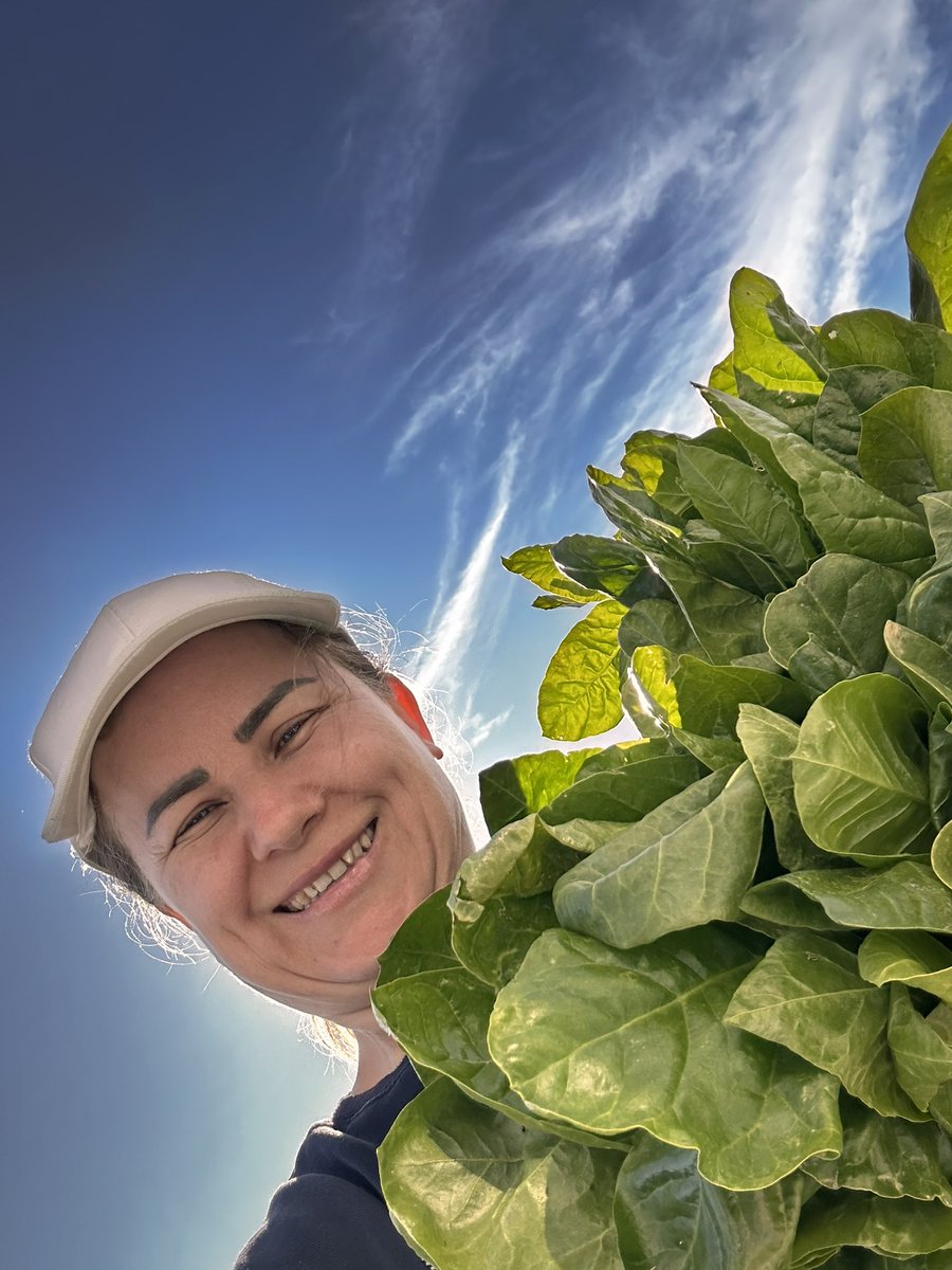 Reyhan KUL tweet media