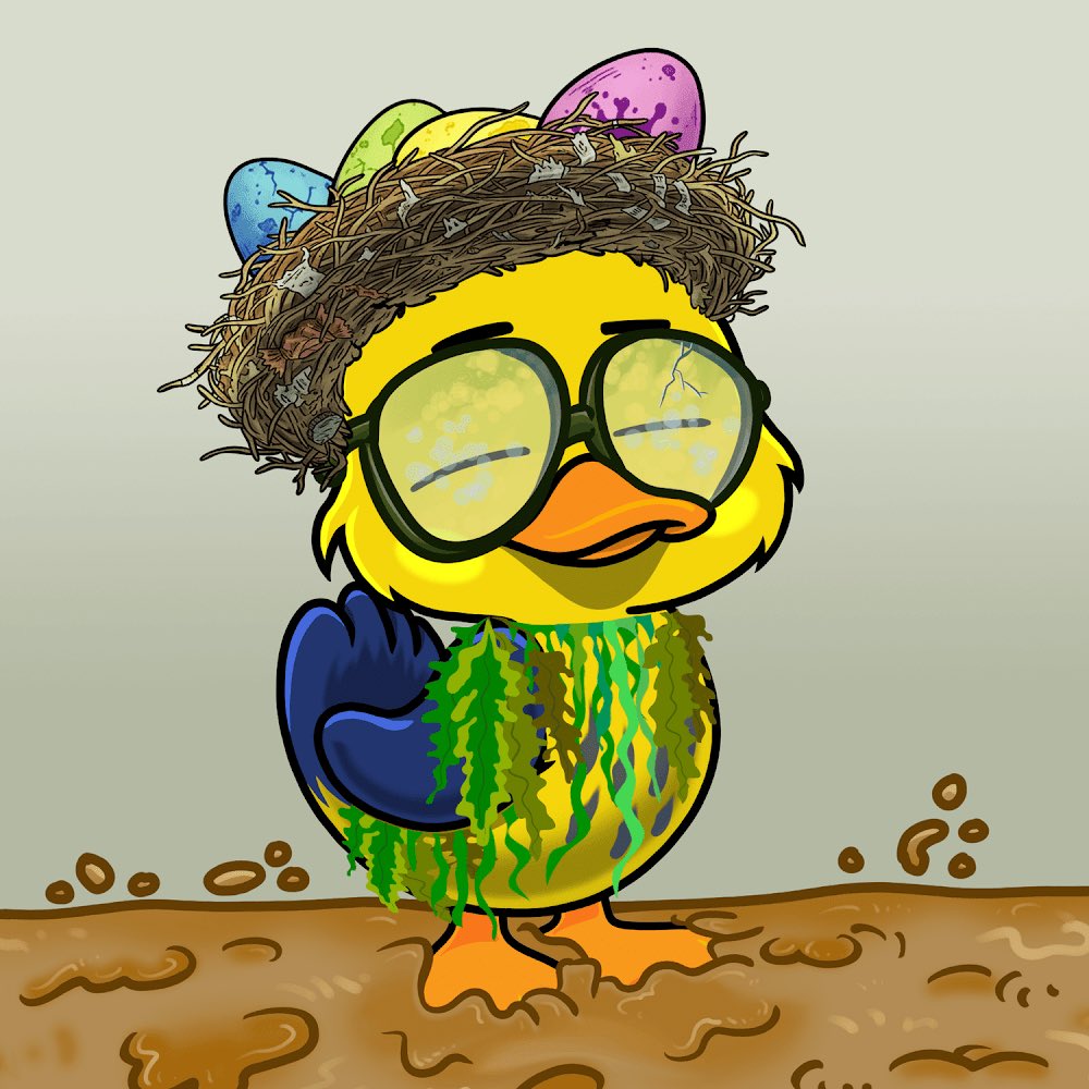 Wizzird Ξ tweet media