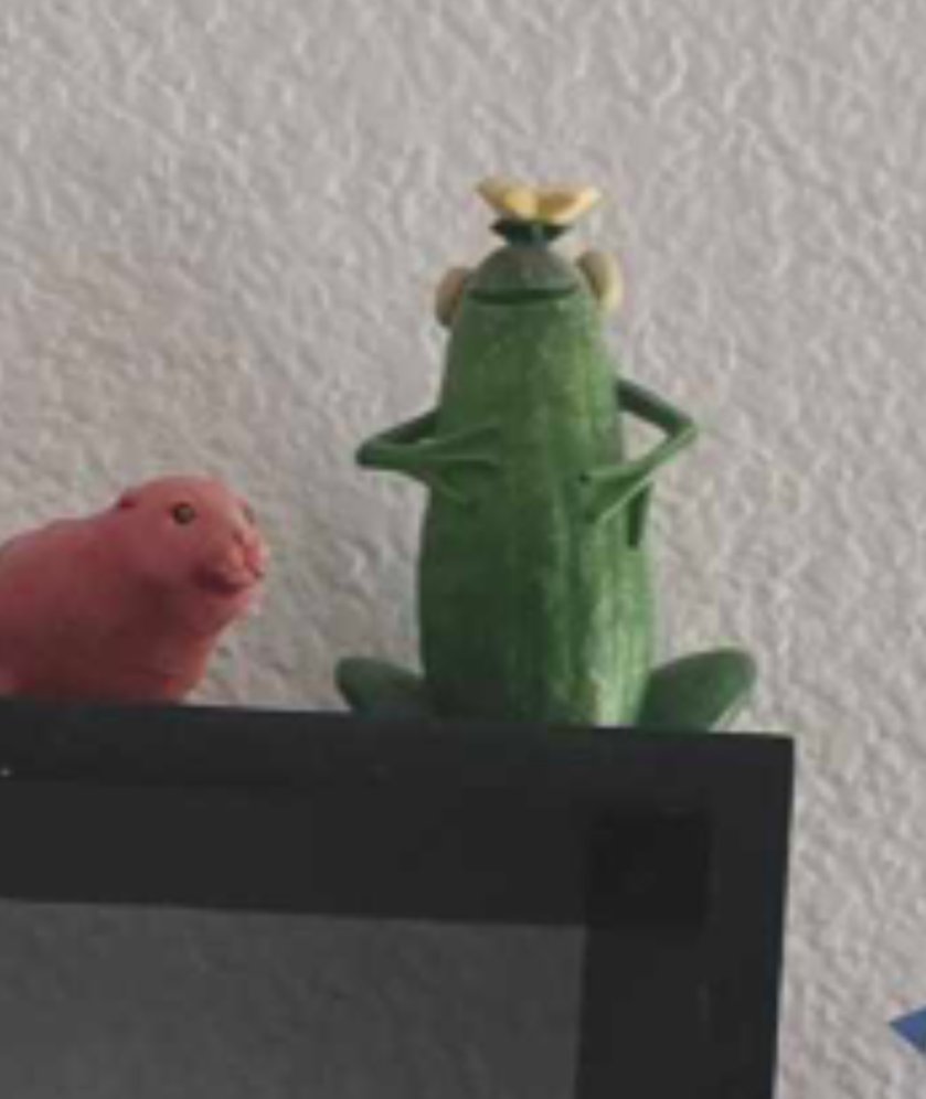 bbroccolliii's tweet photo. @Twitch_Mistyrio It's a cucumber frog 😆 https://t.co/B4Ryxj3Jd5