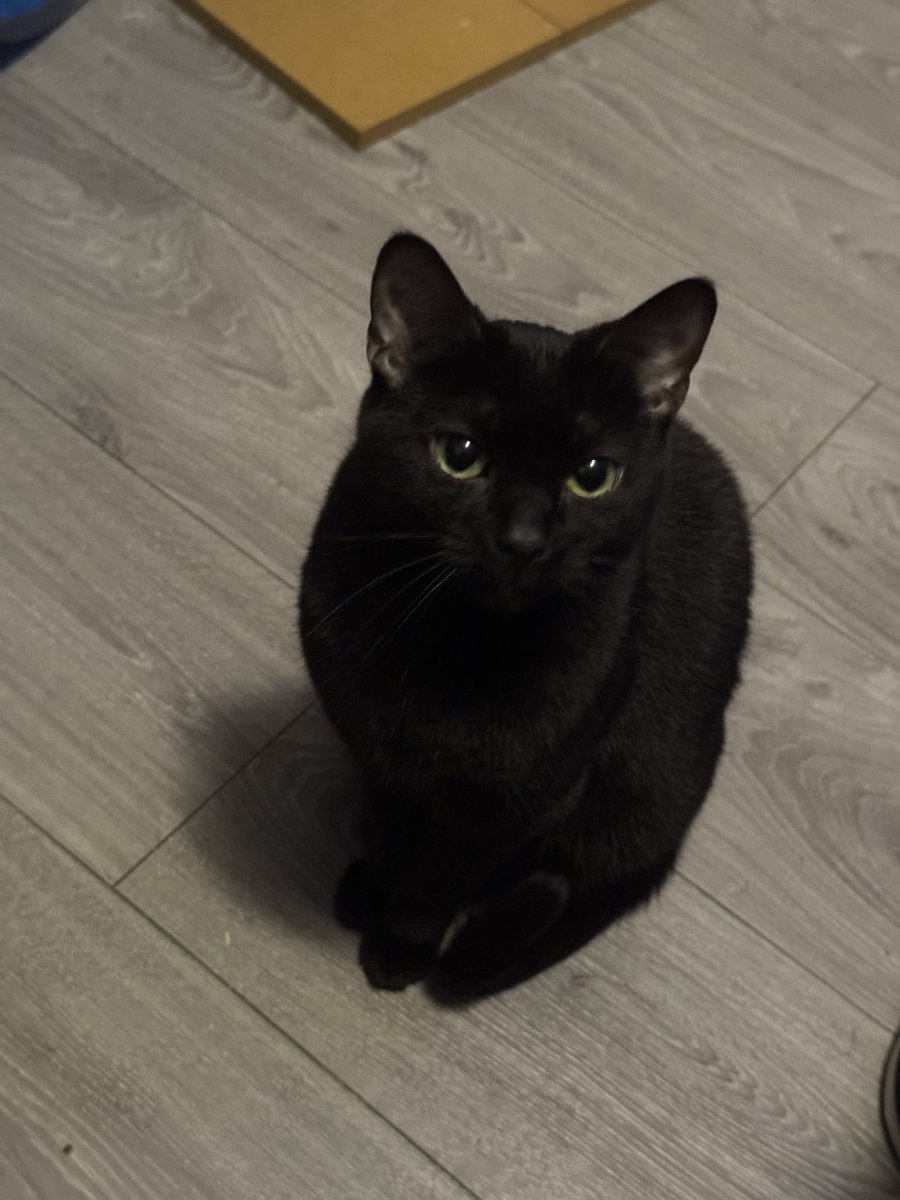 ethical hater tweet media