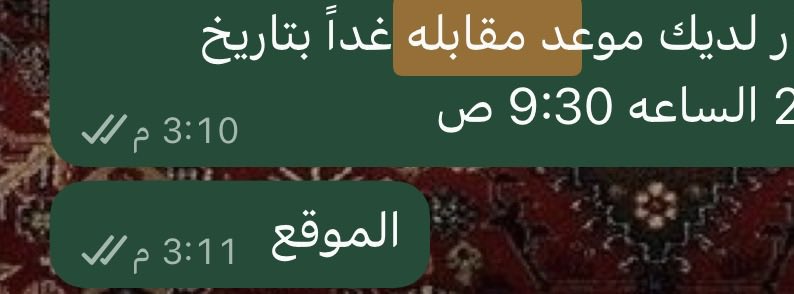 خُلود. tweet media