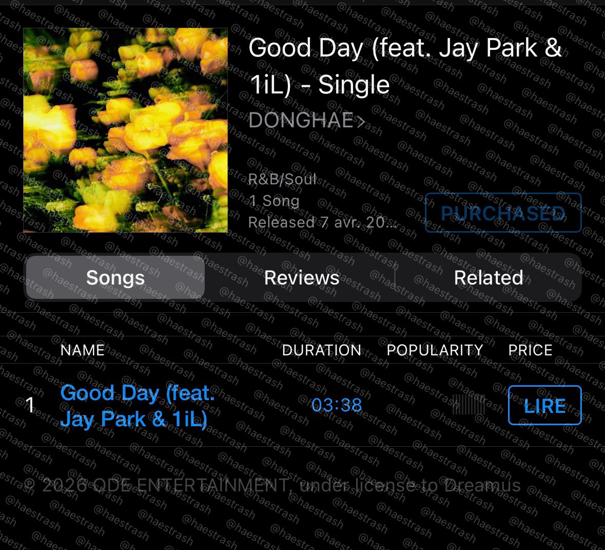 Emilia 🐱 tweet media