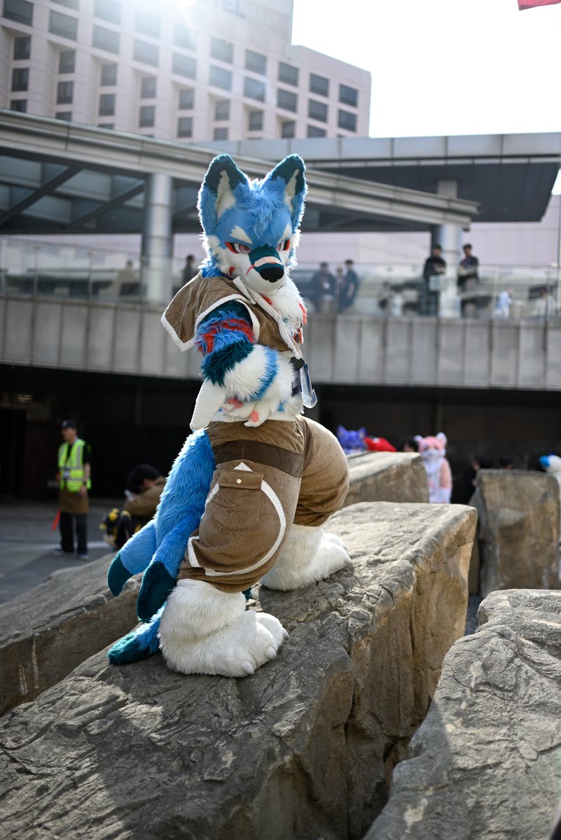 리무리(リムリ)➡️furstclass tweet media