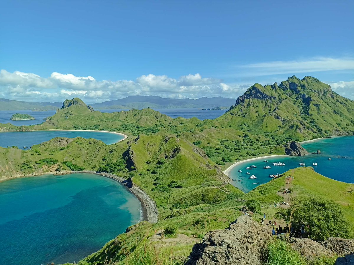 Hopmouth tweet media