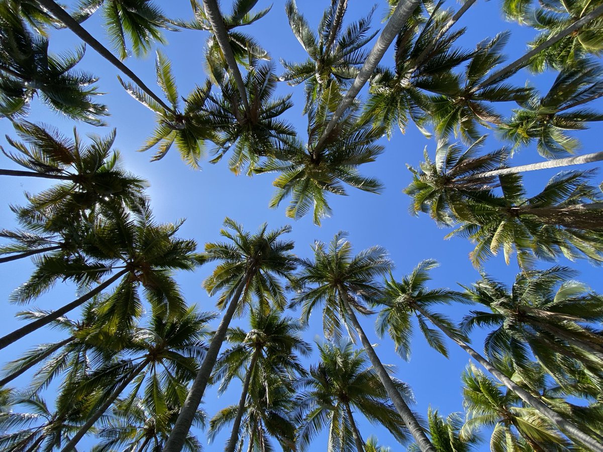 Kirk’s Proof of Work tweet media