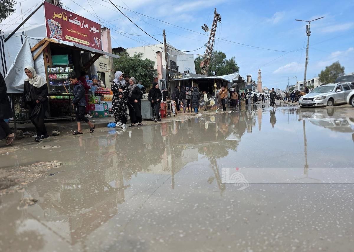 Quds News Network tweet media