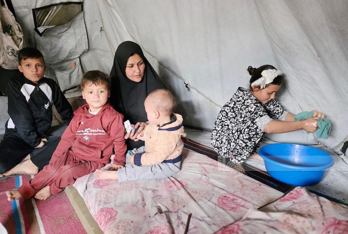 Quds News Network tweet media