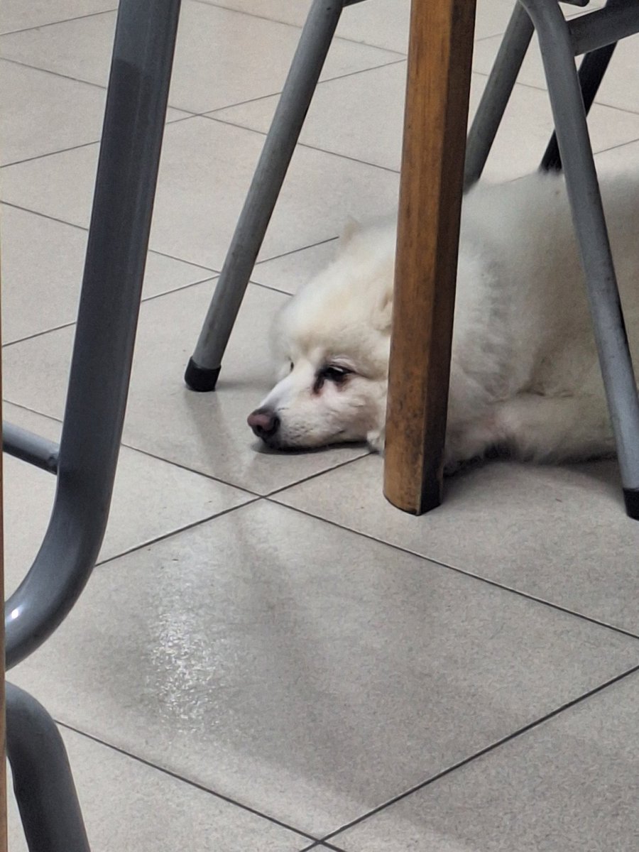 𝗬𝗨𝗡 tweet media