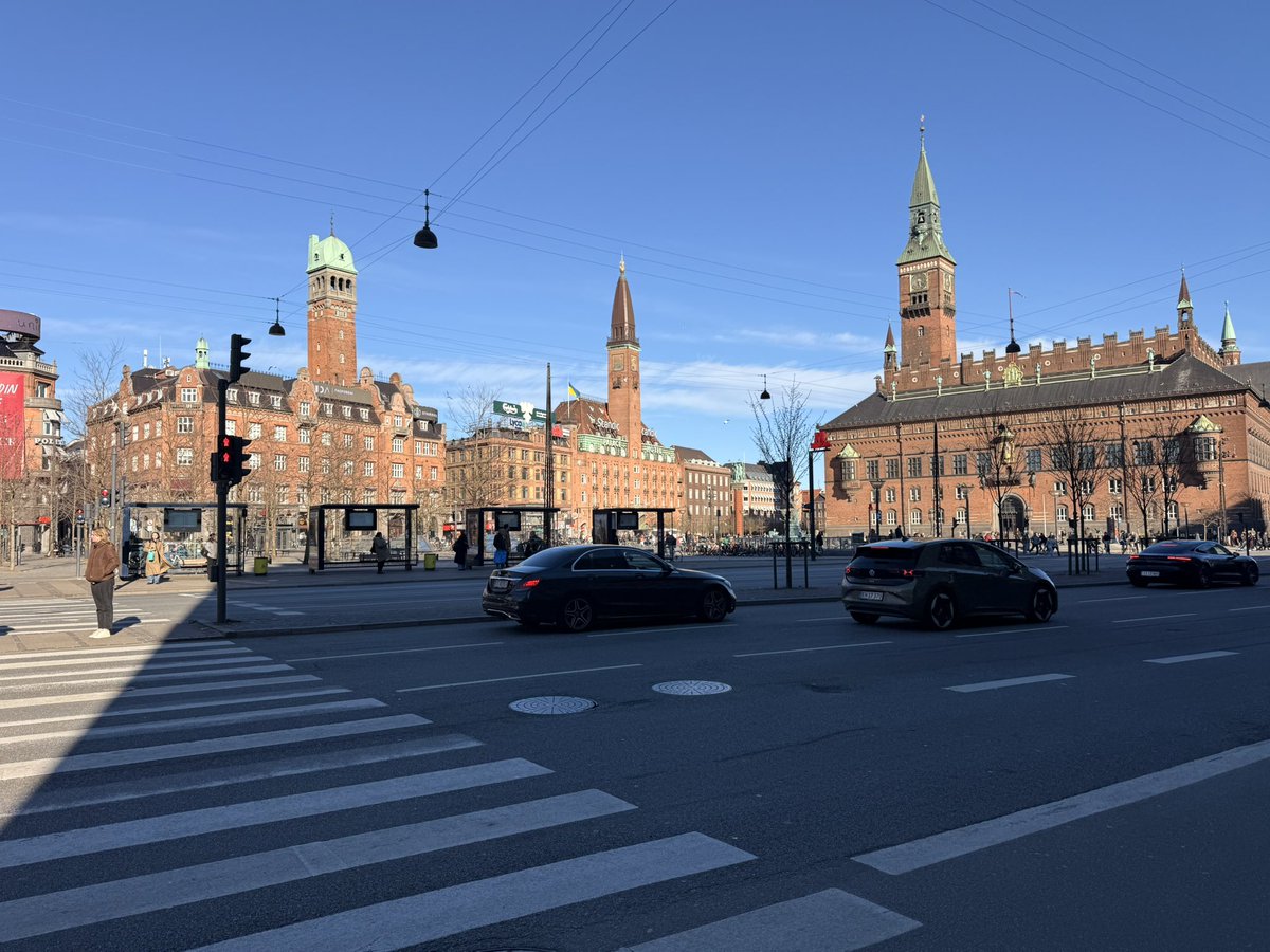 Stephanie Hayden tweet media