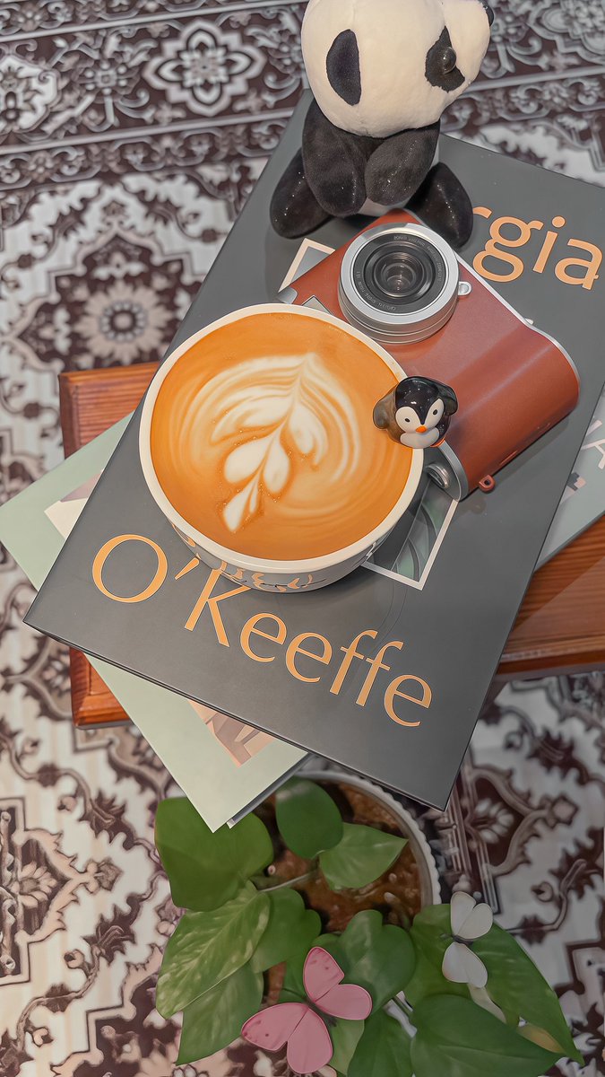 _𝓡𝘰𝘴𝘦 . tweet media