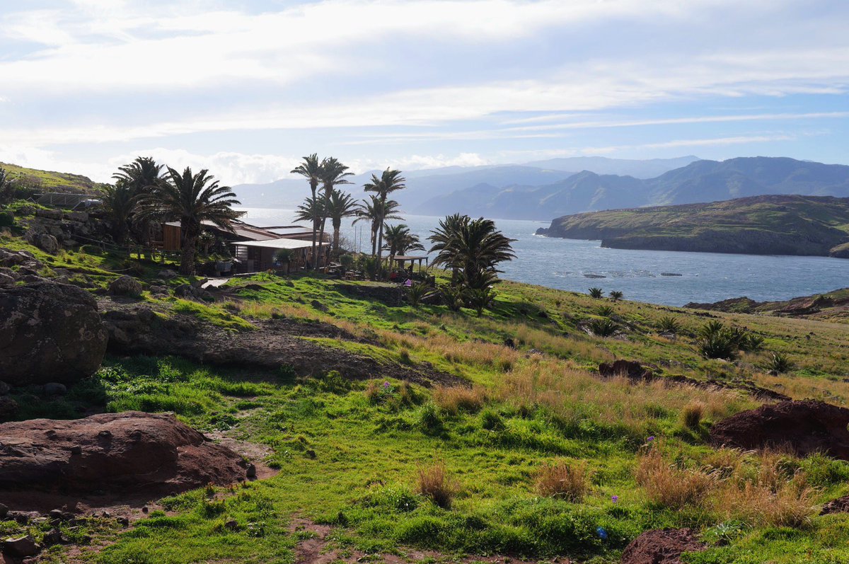 Chrabąszcz majowy tweet media