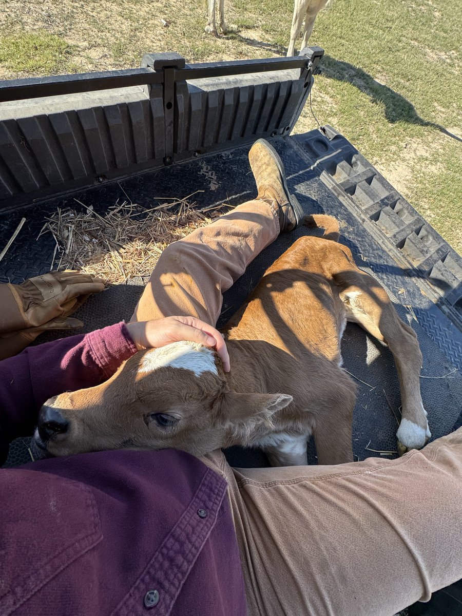 Rancher Dustin 𓃒 tweet media