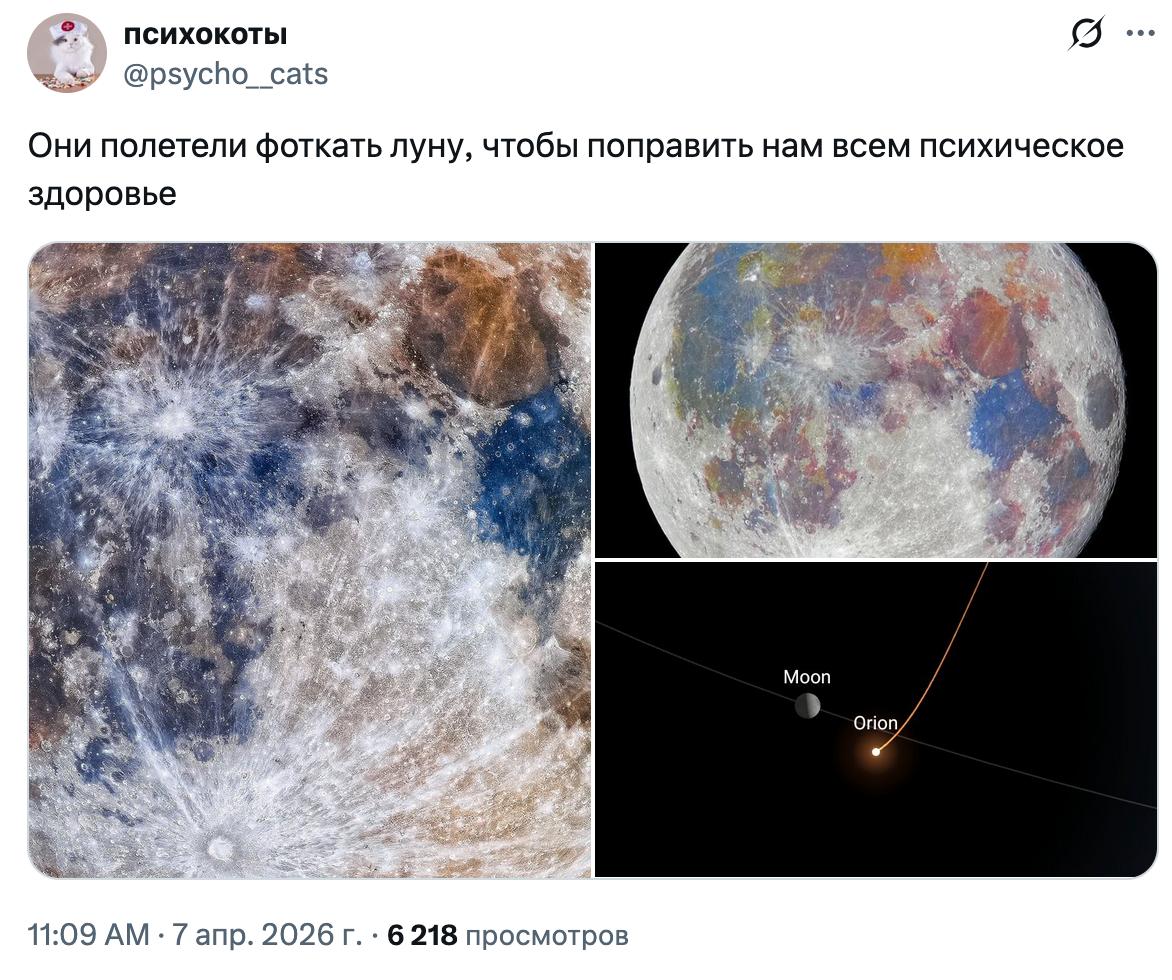 ивус tweet media