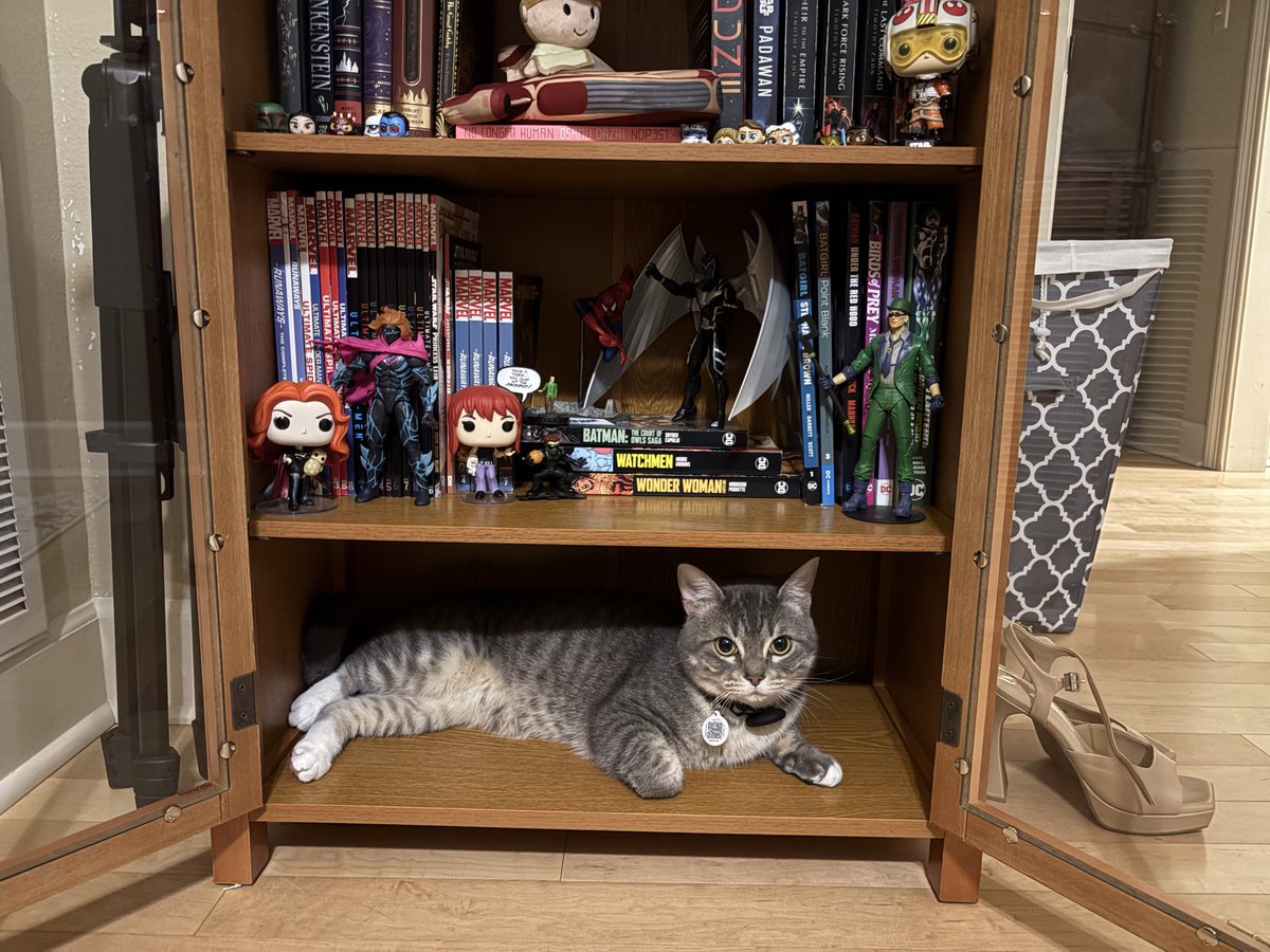 val🕷️🕸️ tweet media