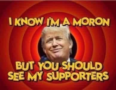 Batis_Cav's tweet photo. @JimHansonDC Now get off your daughter https://t.co/0BMsL06Vdt