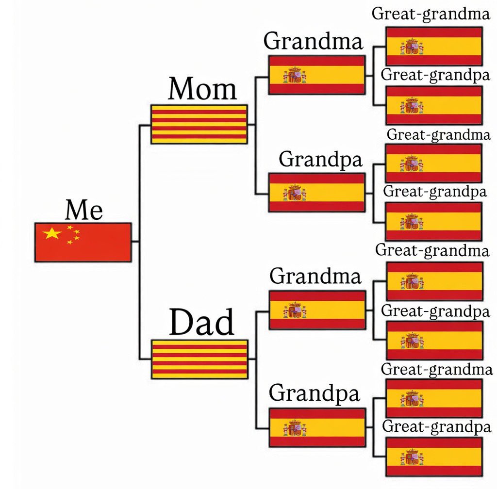 Marcos Franz tweet media