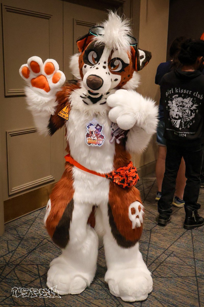 Reece 🧡 tweet media