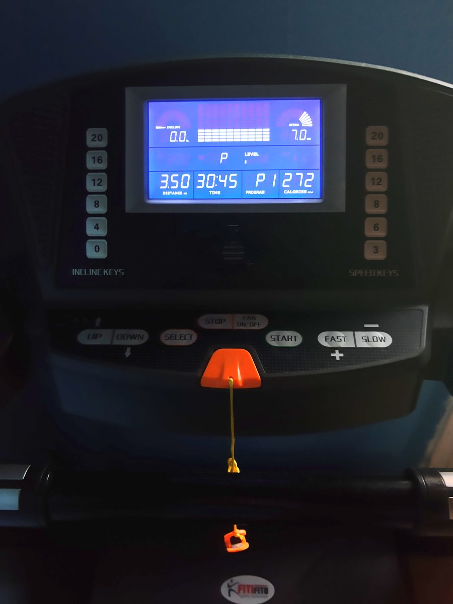 FitKateFitness's tweet image. 3.5 km run 🏃‍♀️ today – it was tough🥵, but it felt really good! Slowly getting back to my old level 💪 
How’s your training going? #Running #Runner #RunningMotivation