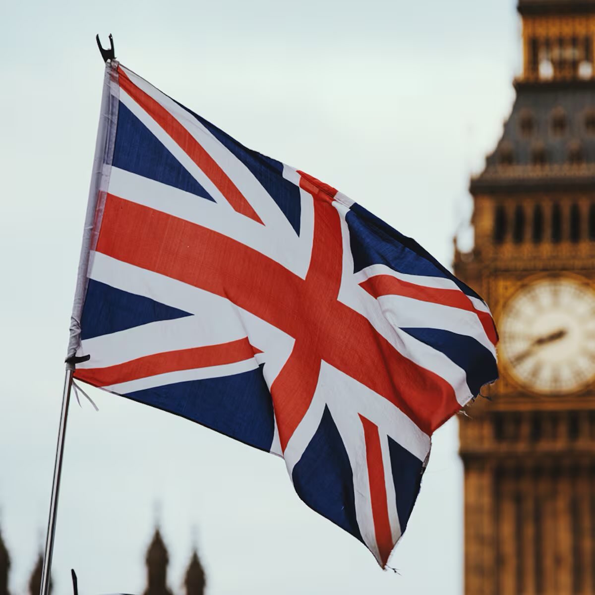 Indie 505 tweet media