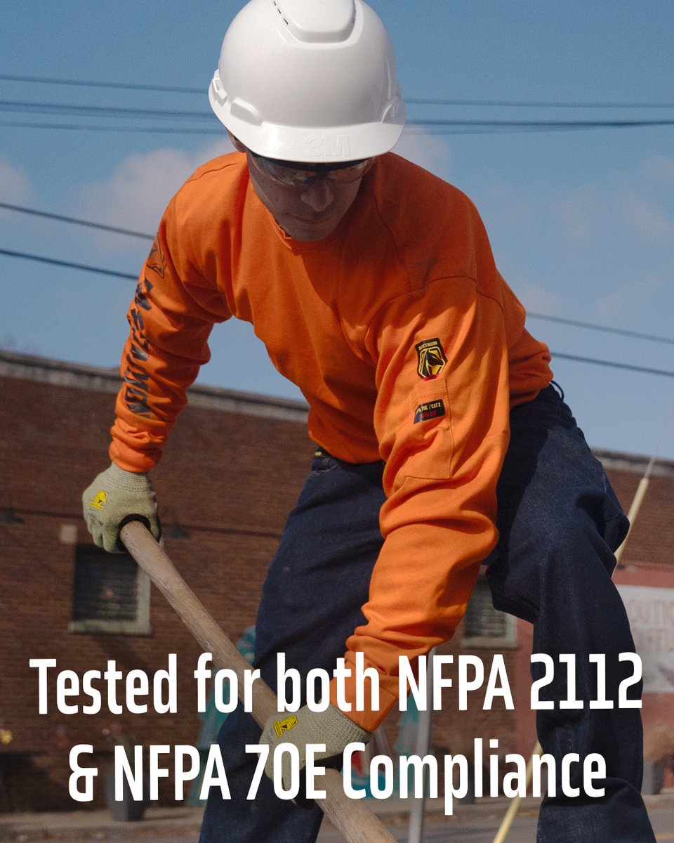 Black Stallion | BSX tweet media