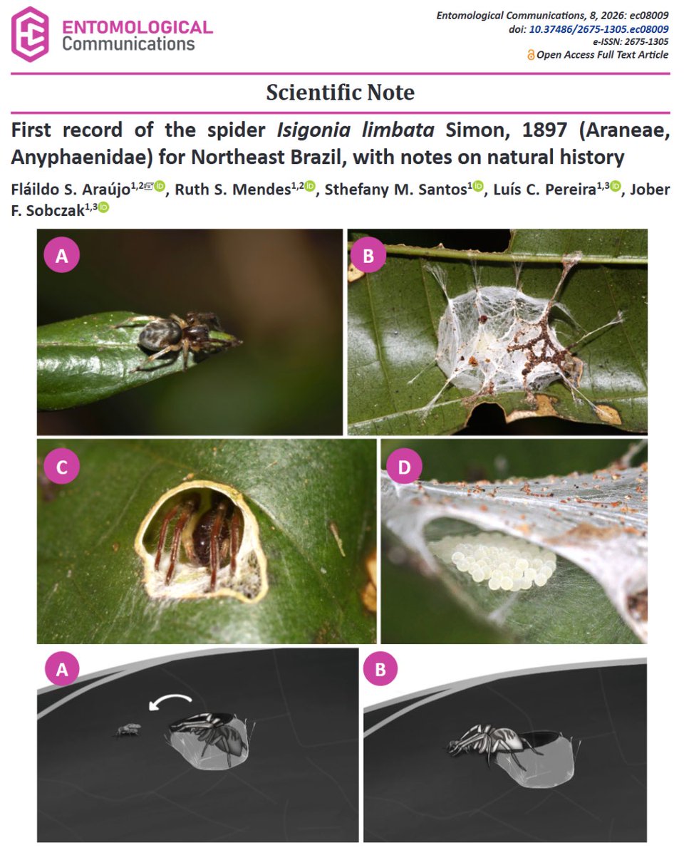 Entomological Communications tweet media