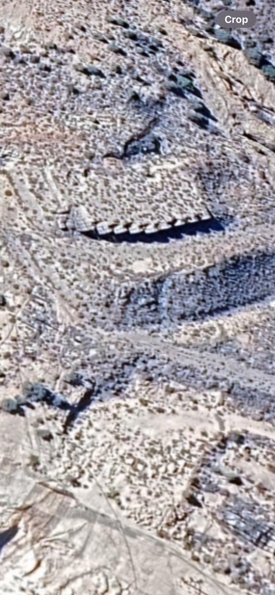 Harmonious Bliss tweet media