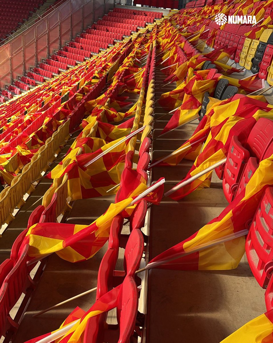 35 Numara tweet media