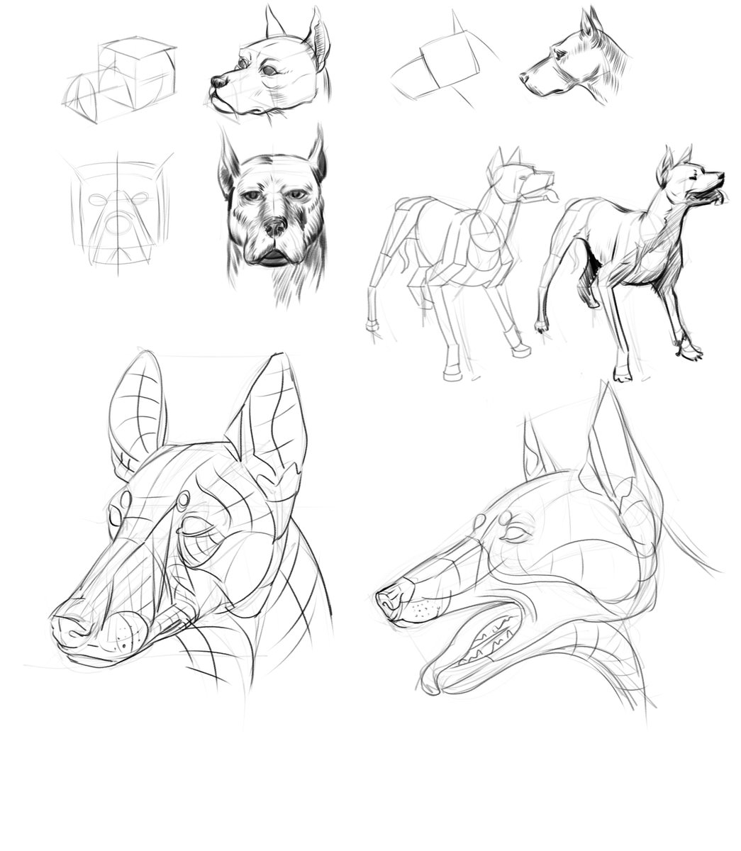 Nate Holland tweet media