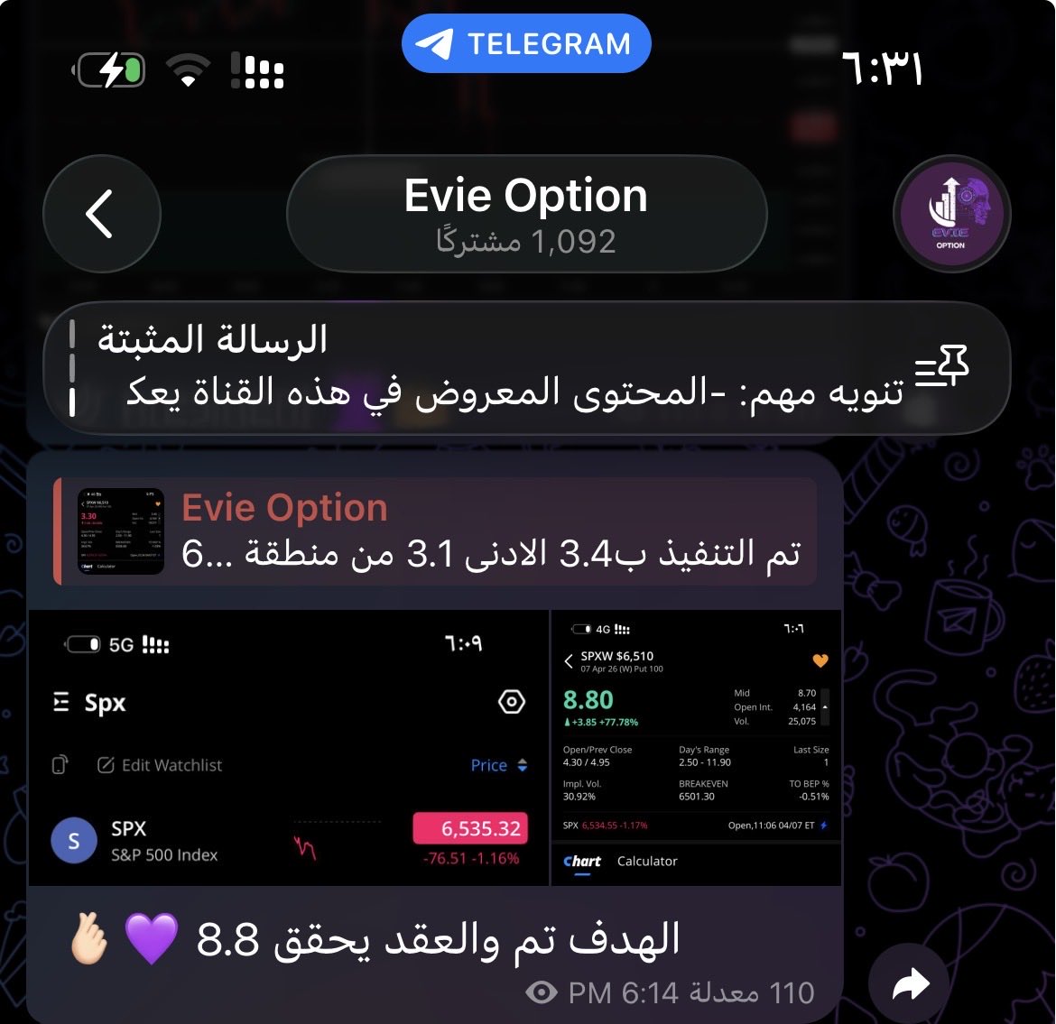 Evie Option tweet media
