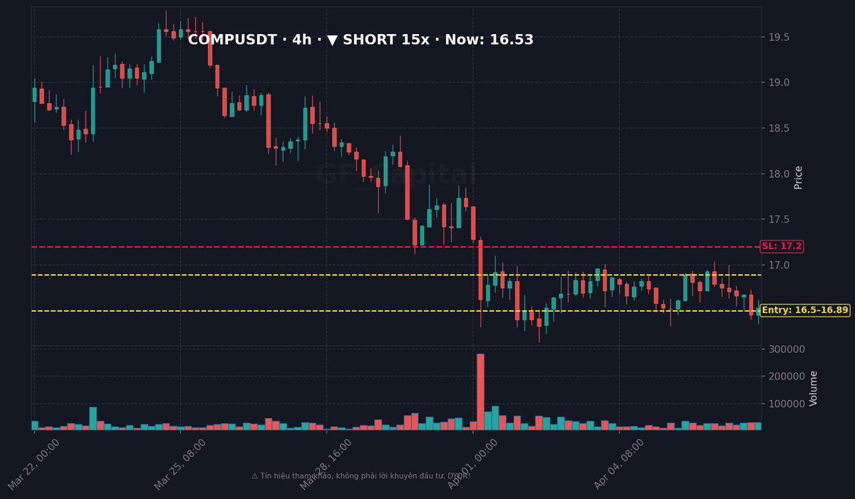 LeeDG 🐳 🔶 ( GF 🇻🇳 Capital ) tweet media