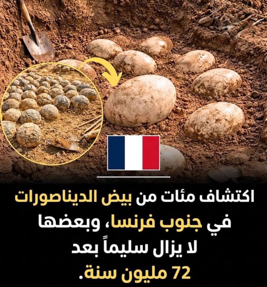 Dr.dalal 🇰🇼 tweet media