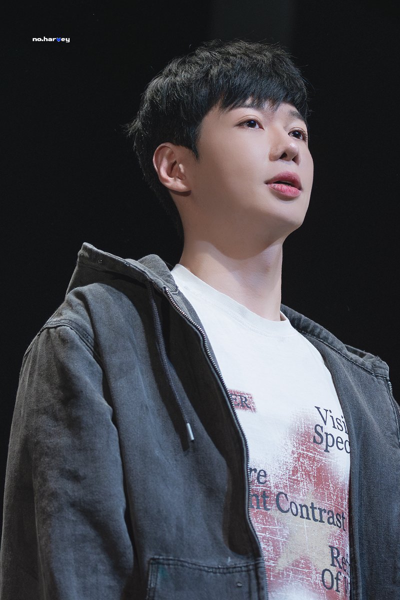 no.harvey tweet media