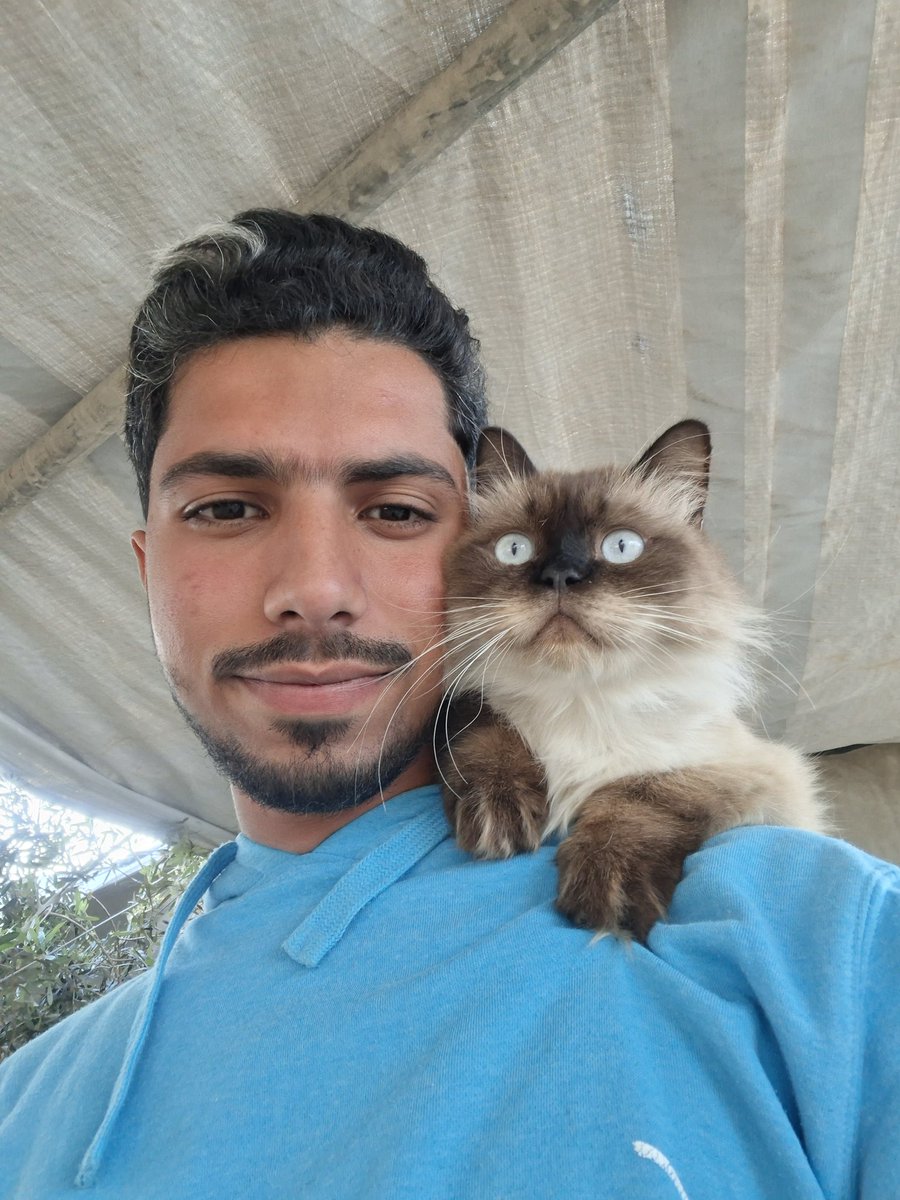 Mustafa𓂆 tweet media