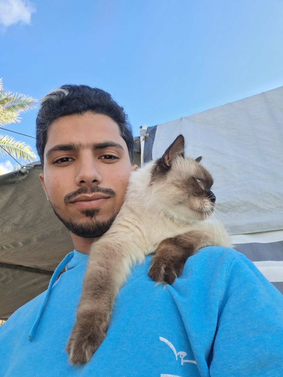 Mustafa𓂆 tweet media