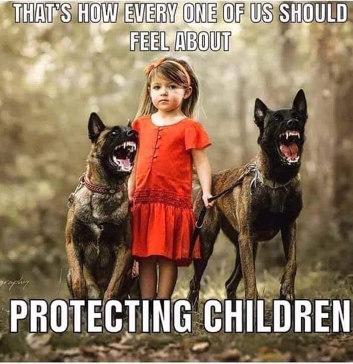 Tracy Bowles 🙏 ✝️🦋🇺🇸 tweet media